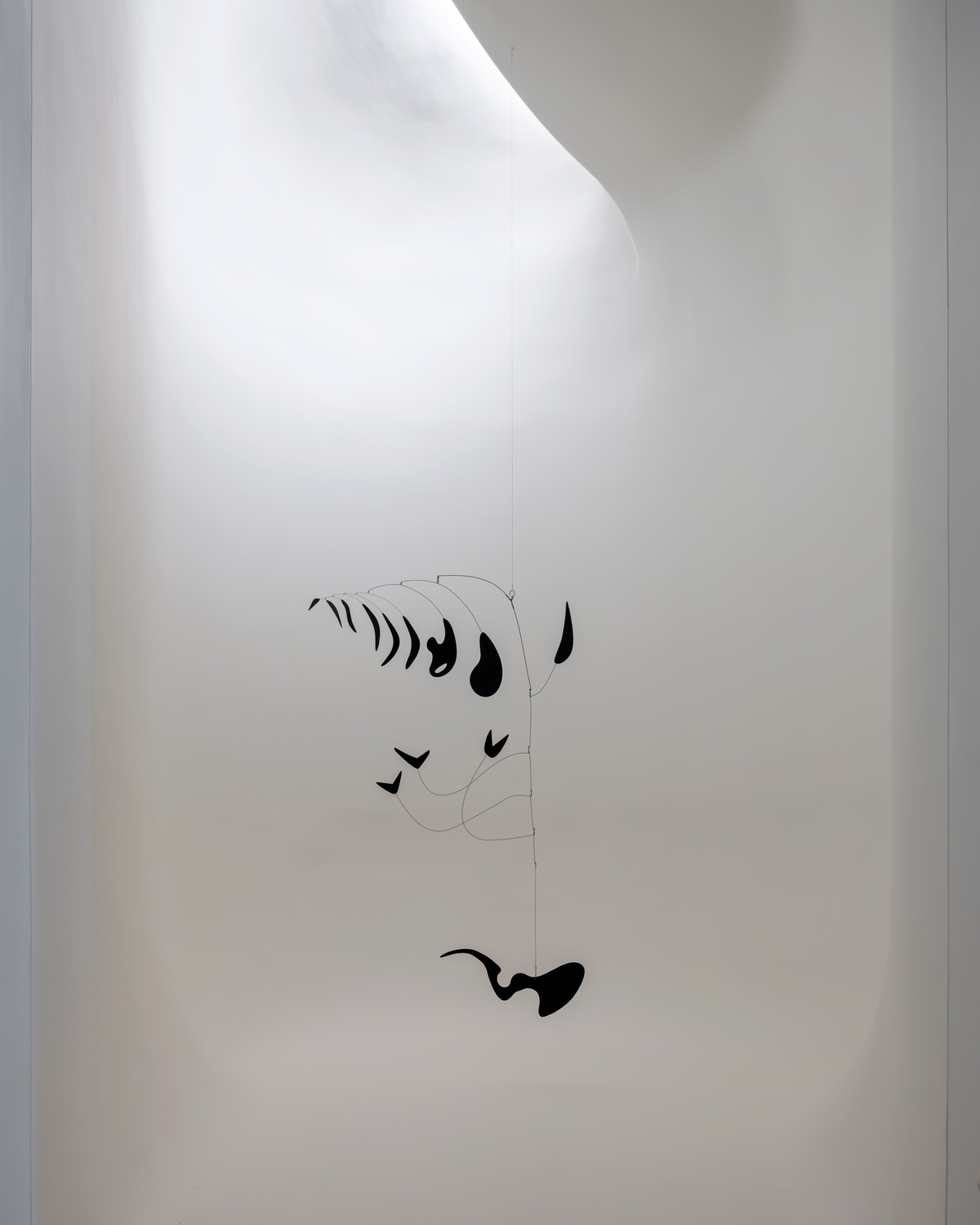 A hanging mobile with black petal-like components supported on wire frames.