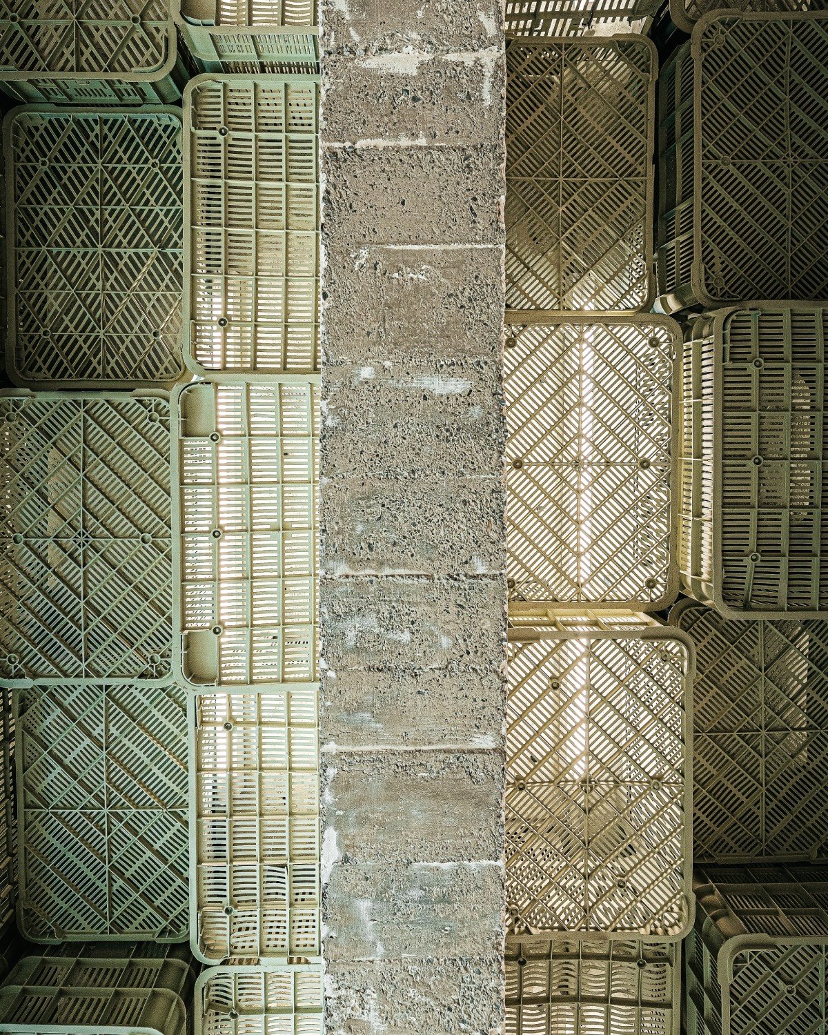 The brutalist-inspired interior by Minimal Studio features a ceiling installation made from recycled plastic crates with ventilation slots that cast ever-changing shadows throughout the day.