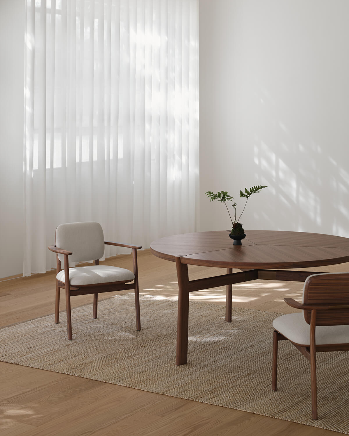 Marea dining chairs by Stellar Works