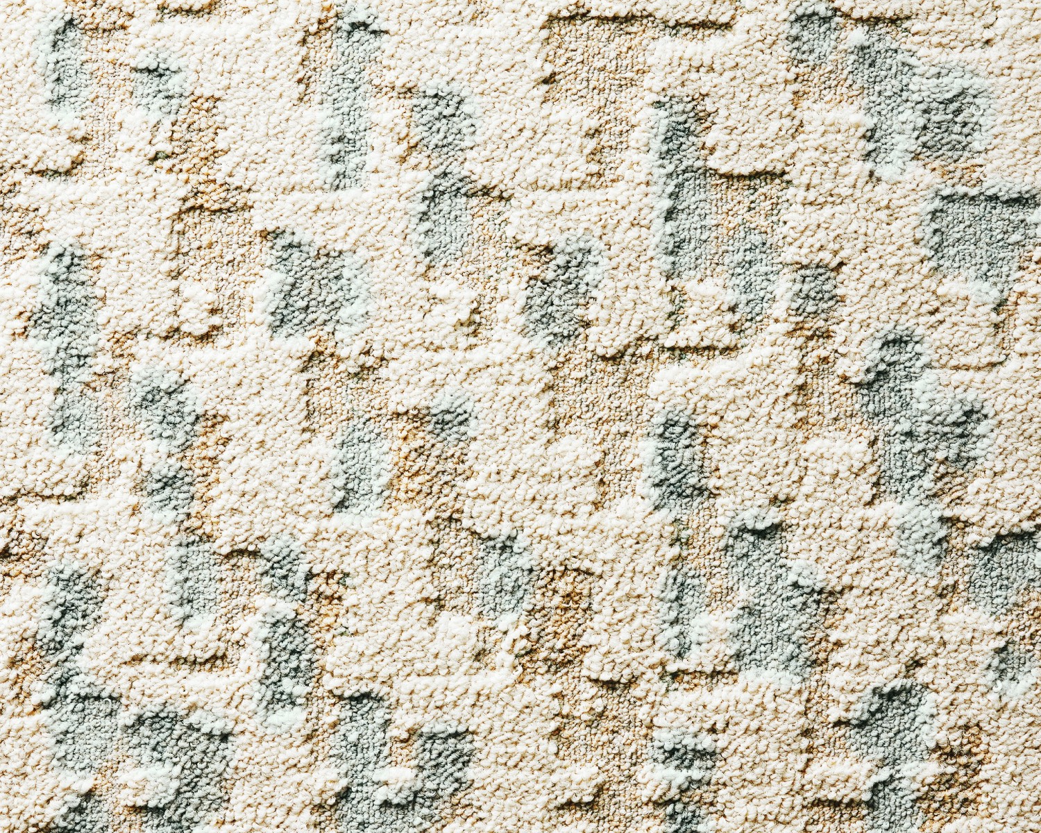 Change In Focus area rug in Chalk from FLOR