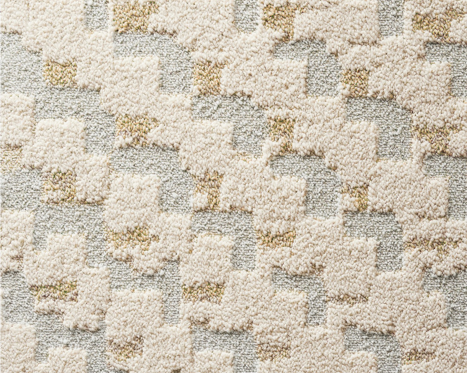 Change In Focus area rug in Tundra from FLOR