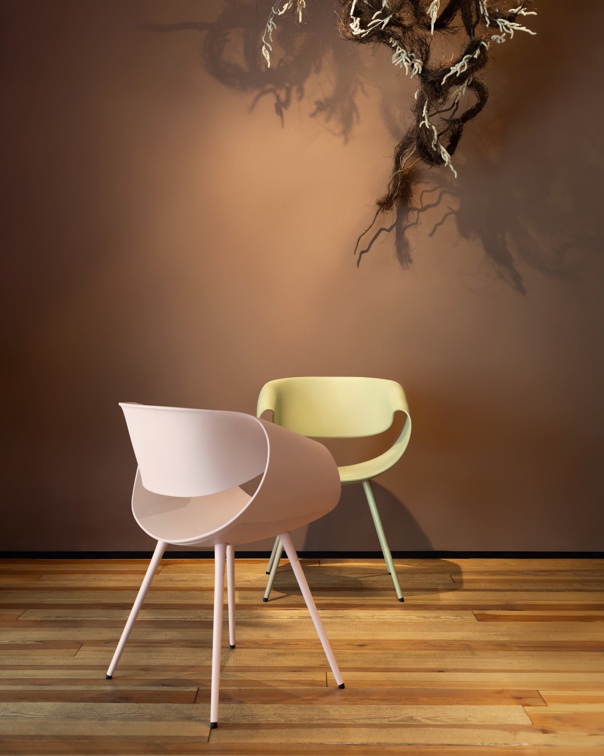 Little Perillo ECO Dauphin