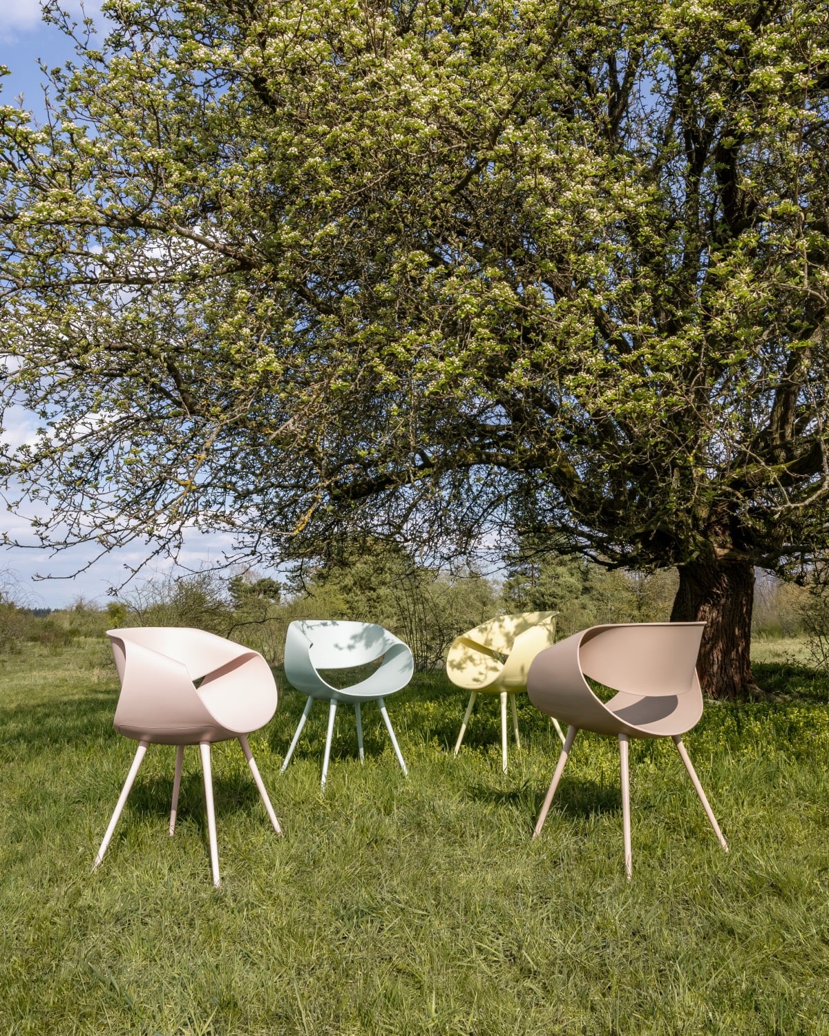 Little Perillo ECO Dauphin