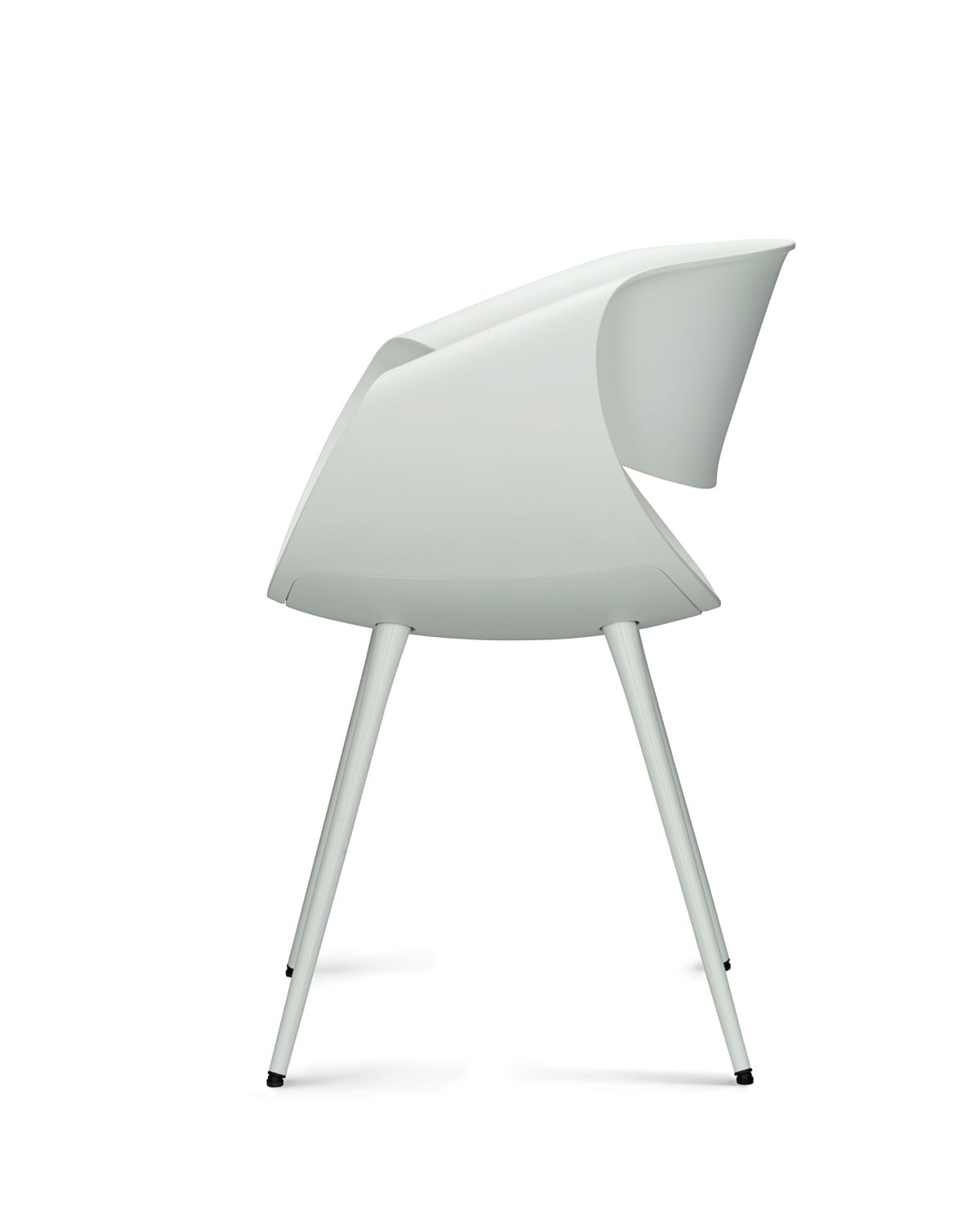 Little Perillo ECO Dauphin