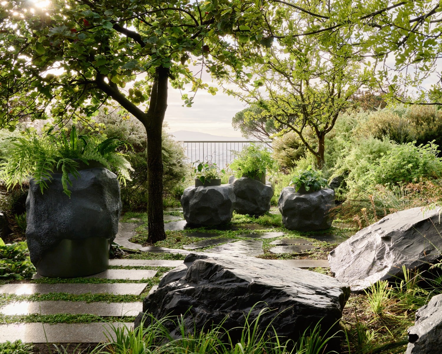 Petra Planters Fernando Mastrangelo Indigenus