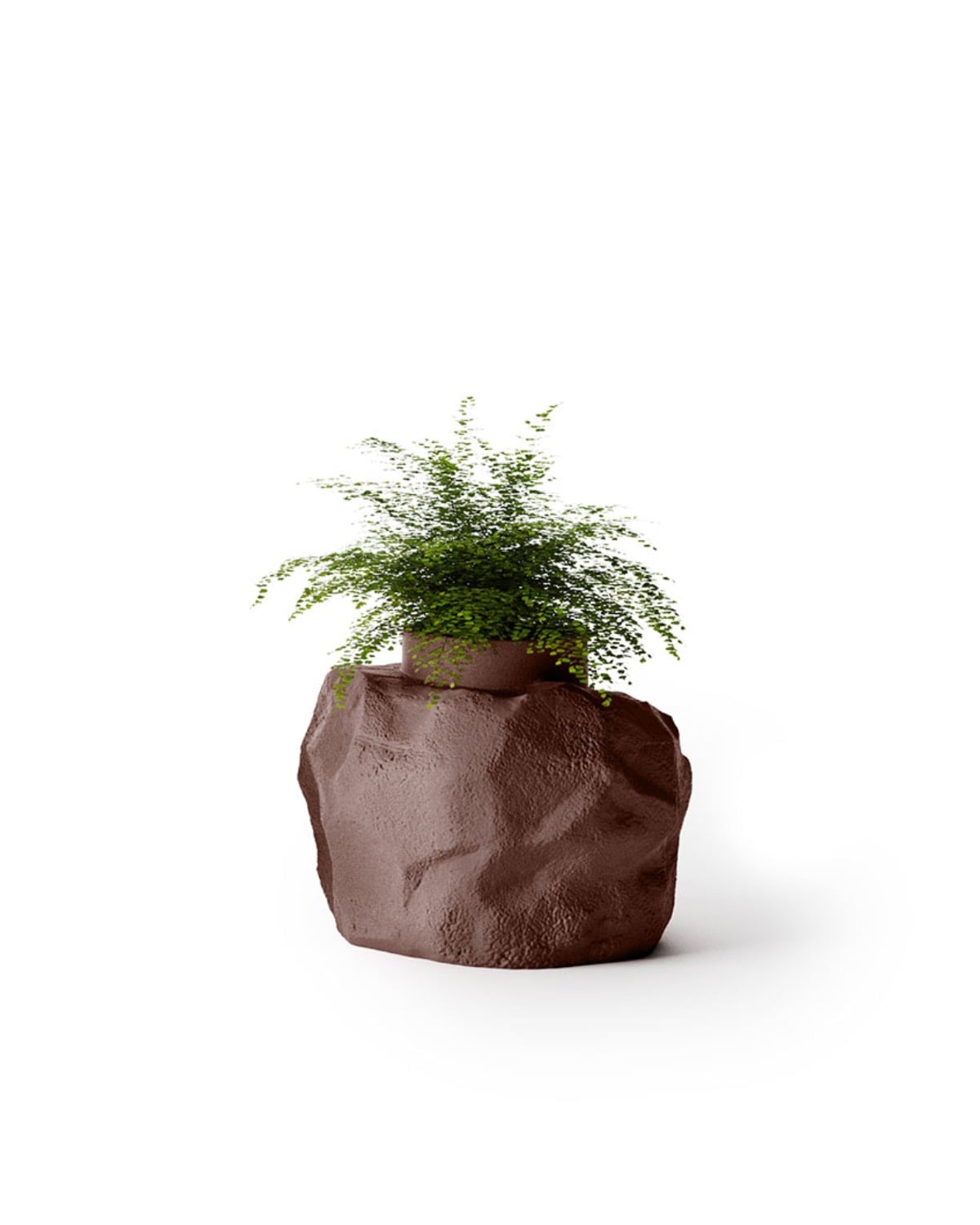 Petra Planters Fernando Mastrangelo Indigenus