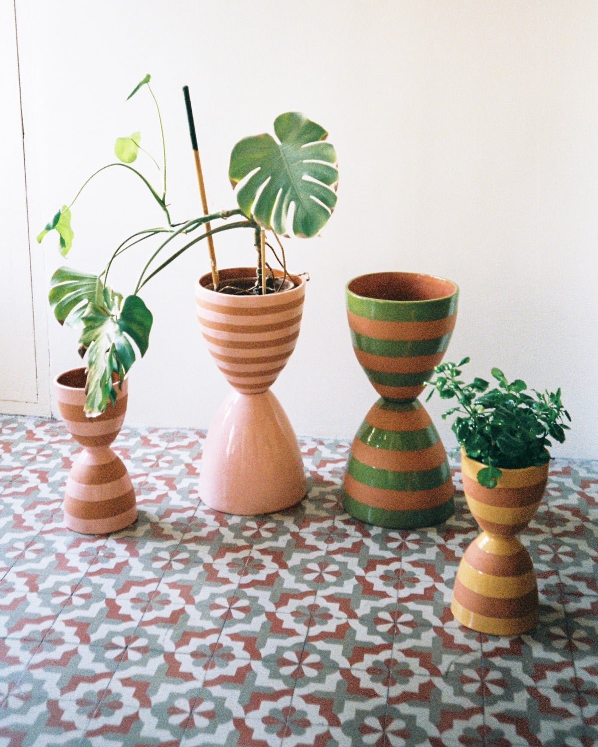 Series of potted plants in hourglass-shaped vessels