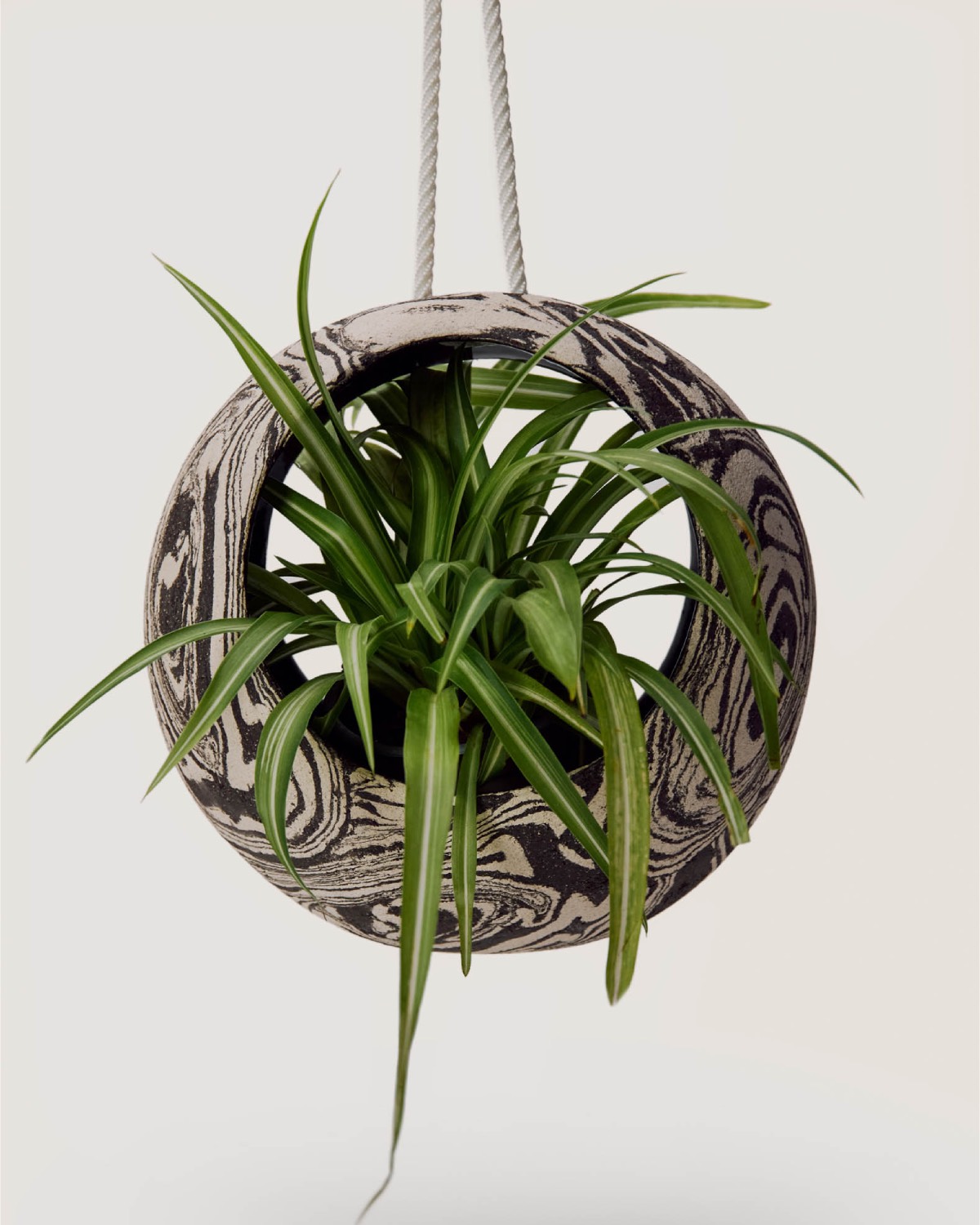 Planter Collection Tina Vaia Studio