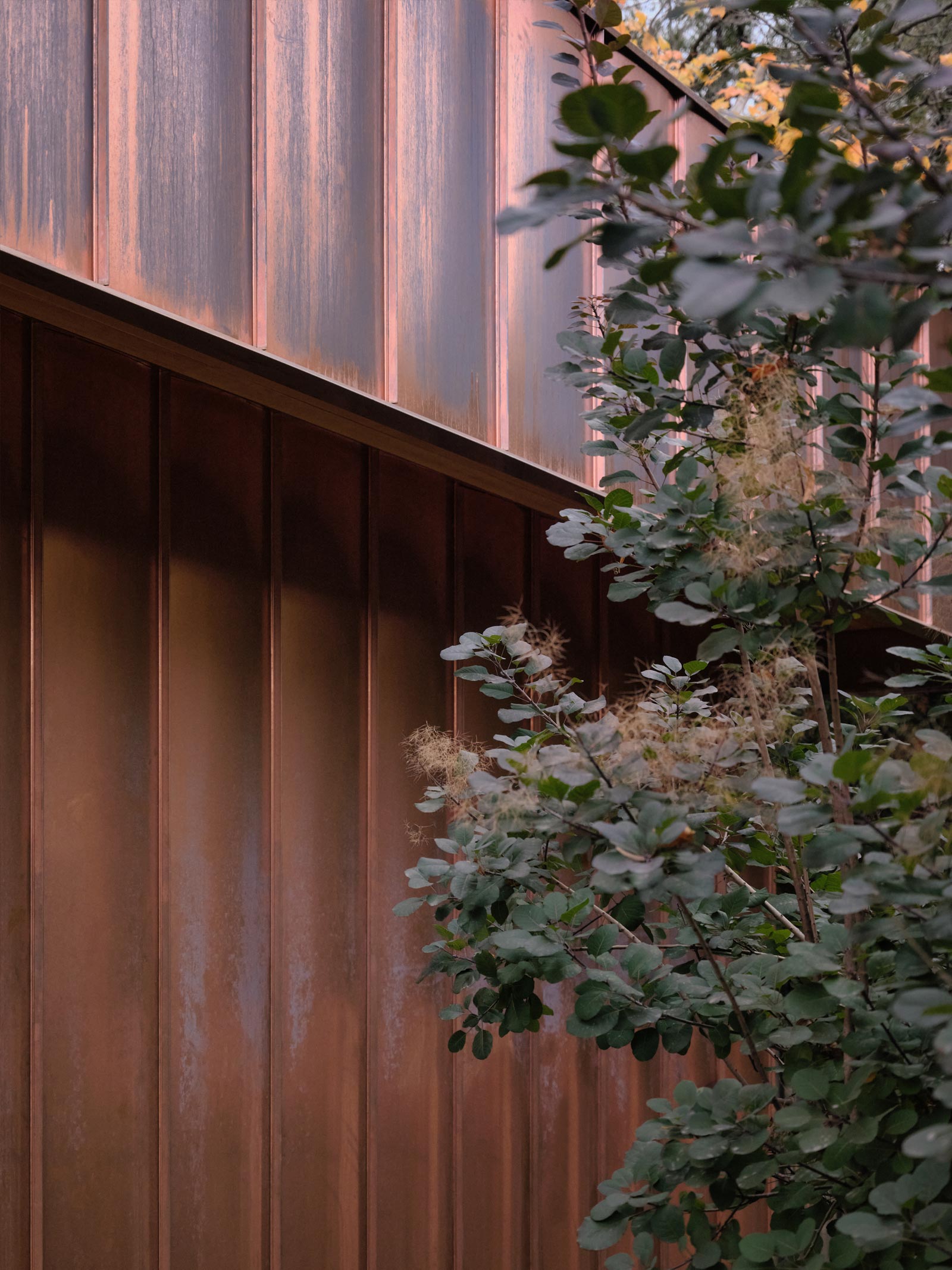 Copper House, Toronto. A 600 sq ft garden suite by Fabrication Studio.