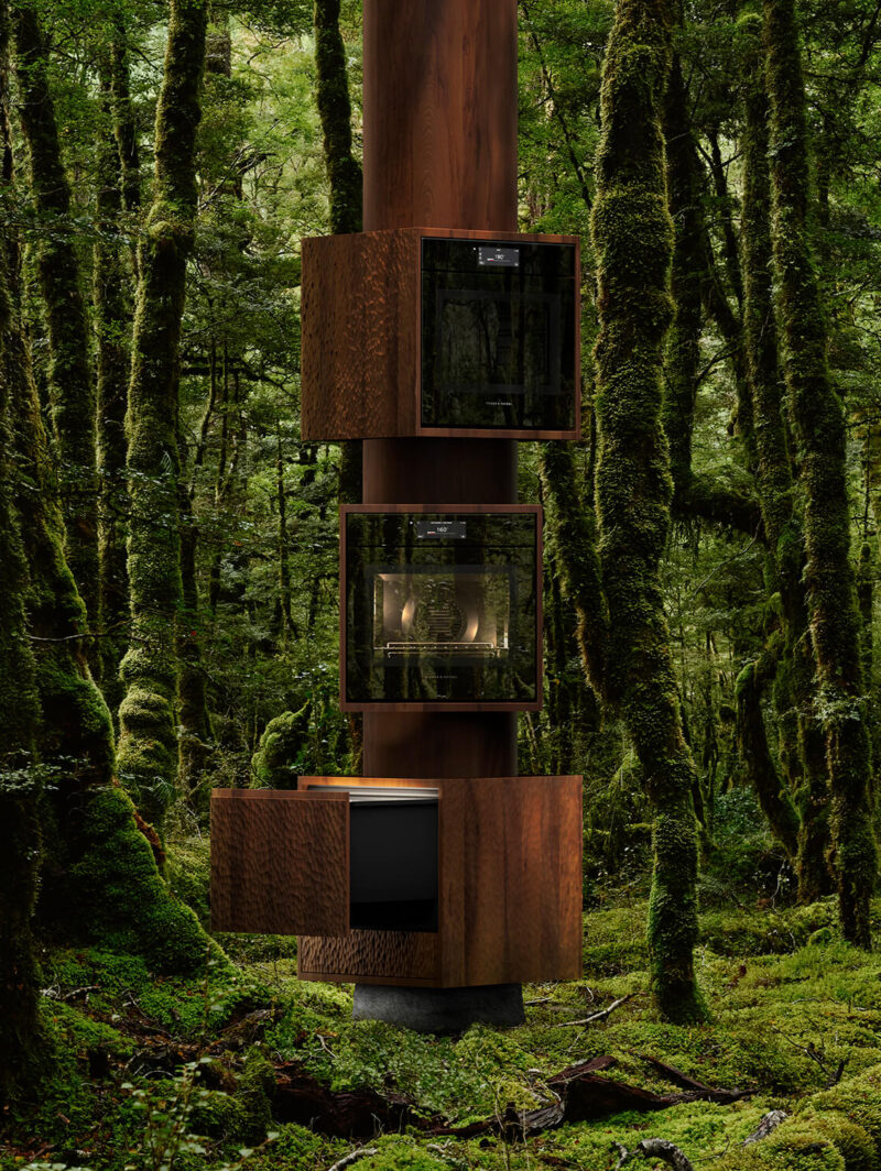 A tall, minimal wooden structure with three glass-fronted cube-shaped rooms is built vertically around a tree, like a Fisher & Paykel display, nestled in a dense, green forest.